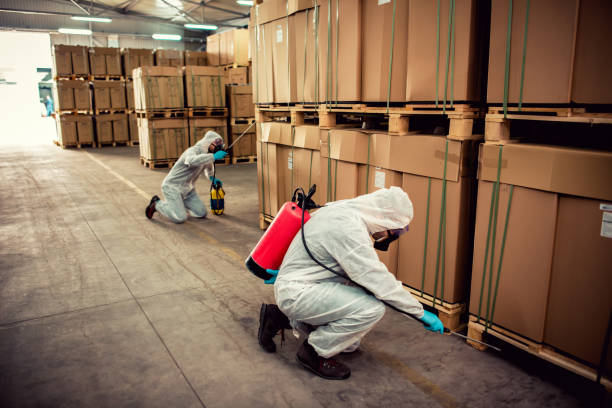 Best Best Pest Control Near Me  in South River, NM