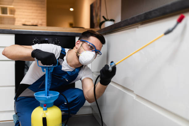 Best Residential Pest Control  in South River, NM