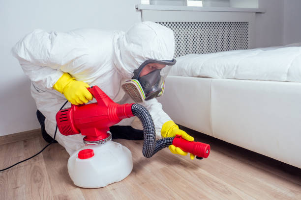 Best Affordable Pest Control Services  in South River, NM