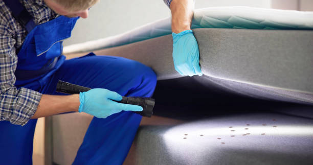 Best Mosquito Control Services  in South River, NM